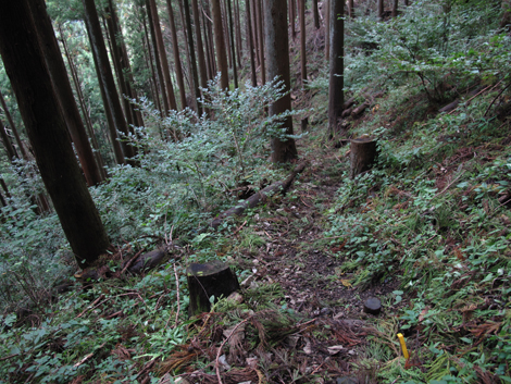 20181016hike (232)